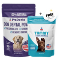 Prodenta + Tummy Essentials Bundle