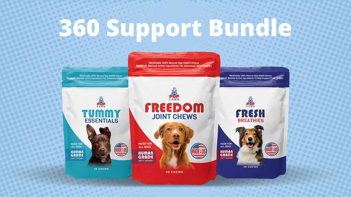 360 Support Bundle