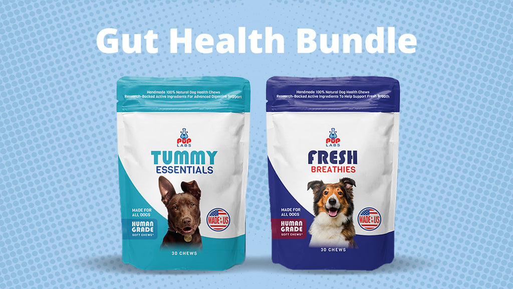 Gut Health Bundle