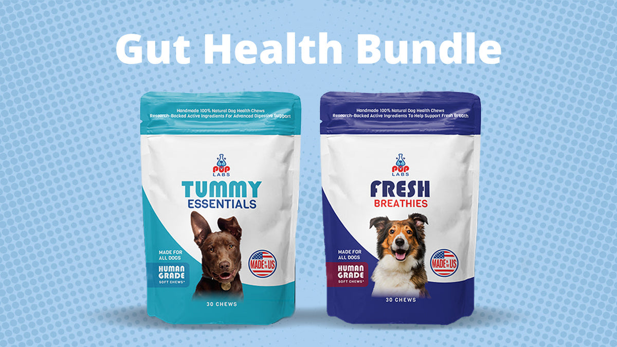 Gut Health Bundle