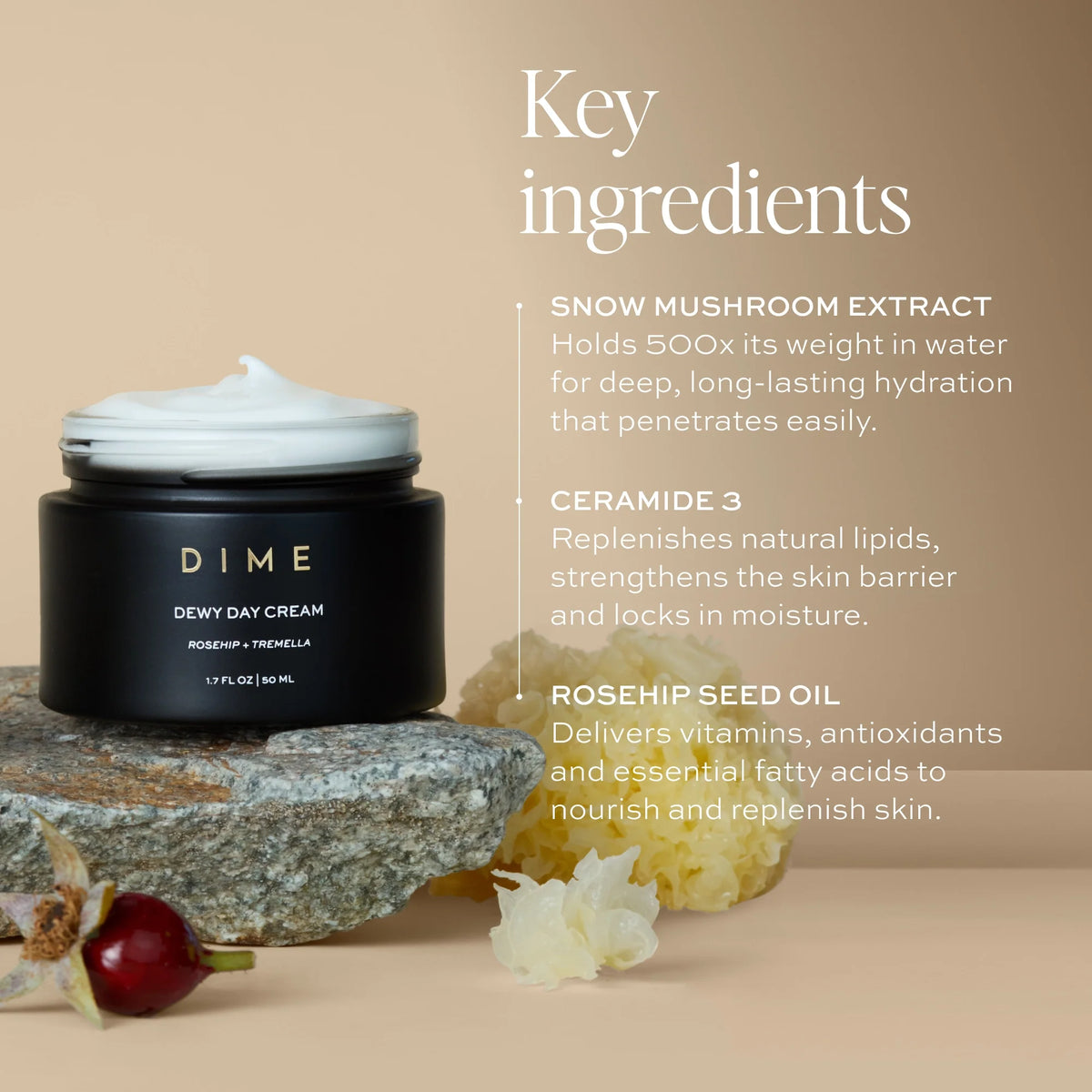 Dewy Day Cream