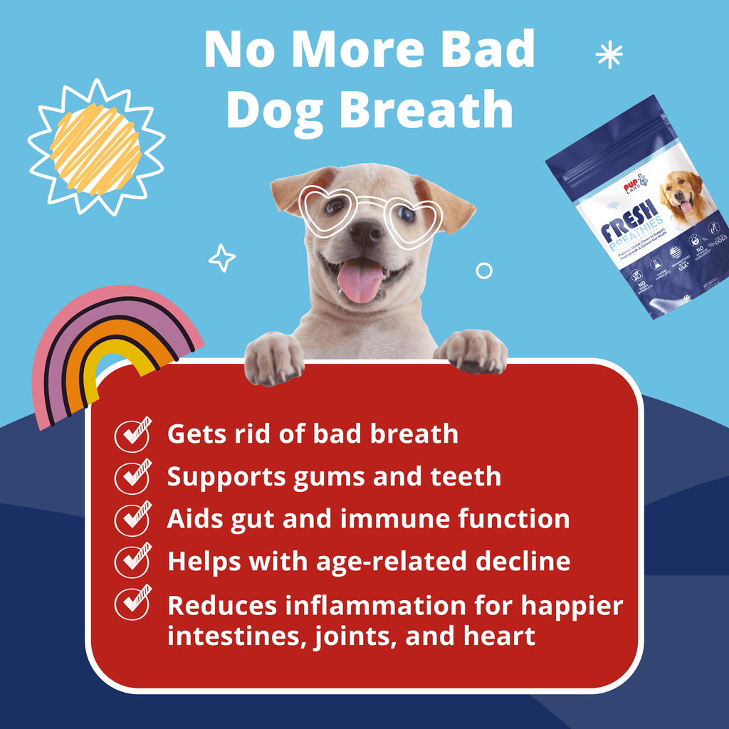 Fresh Breathies Dental Health Chews