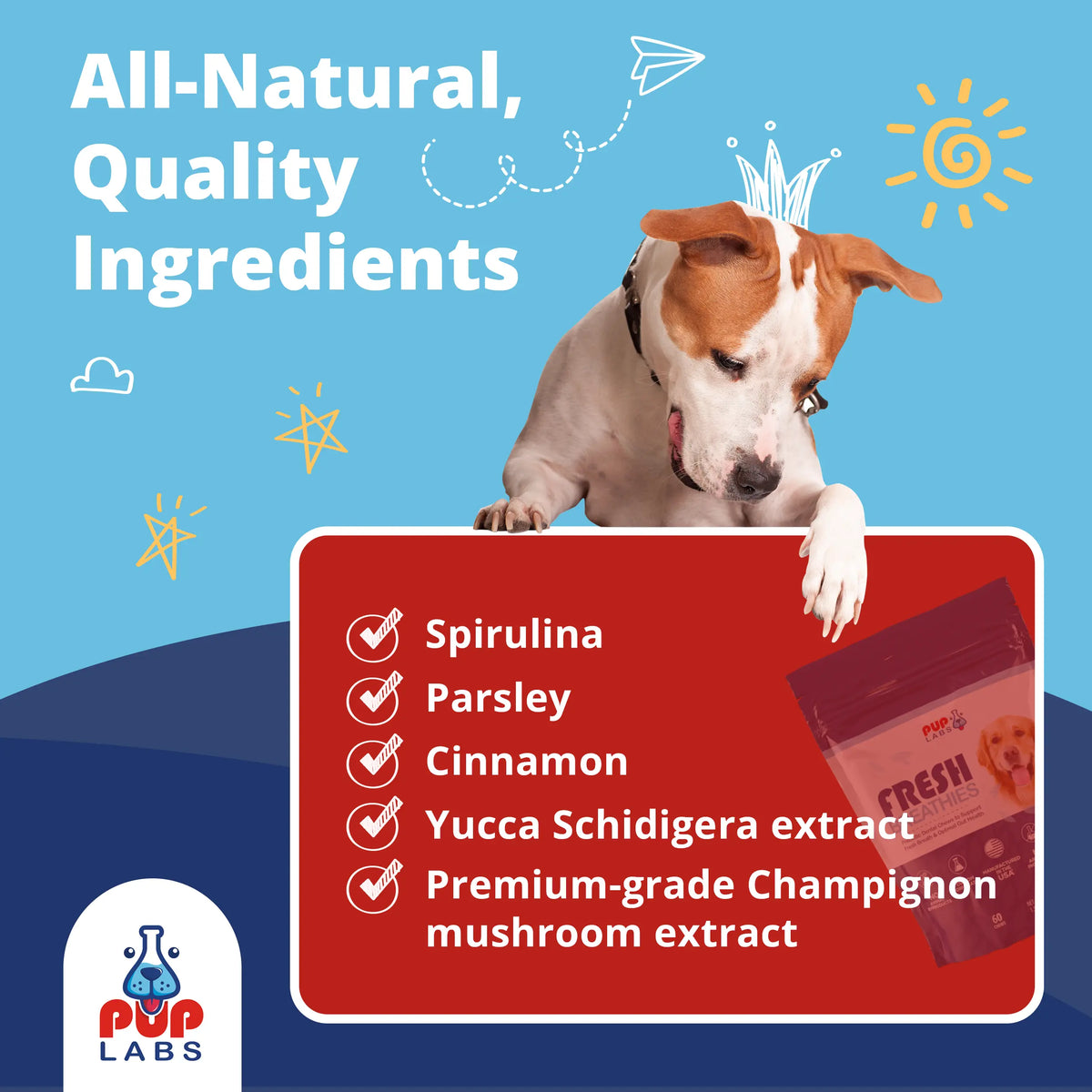 Fresh Breathies Dental Health Chews