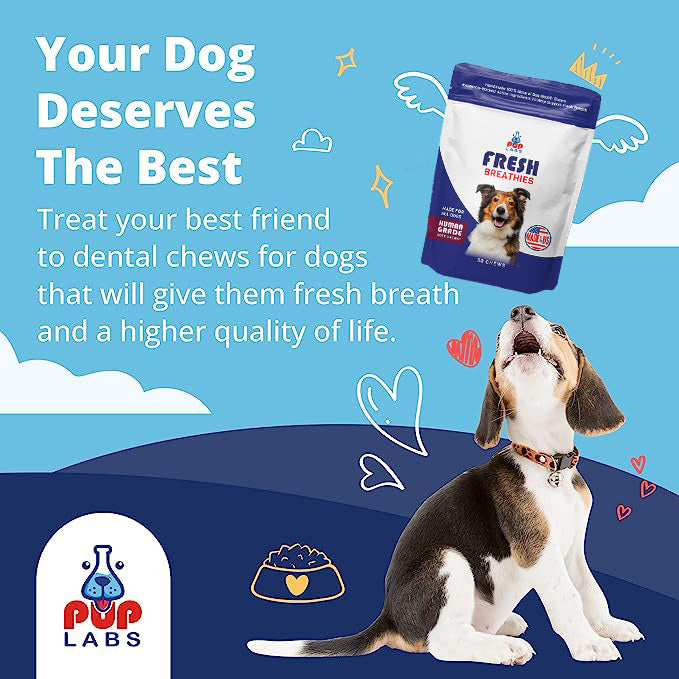 Fresh Breathies Dental Health Chews