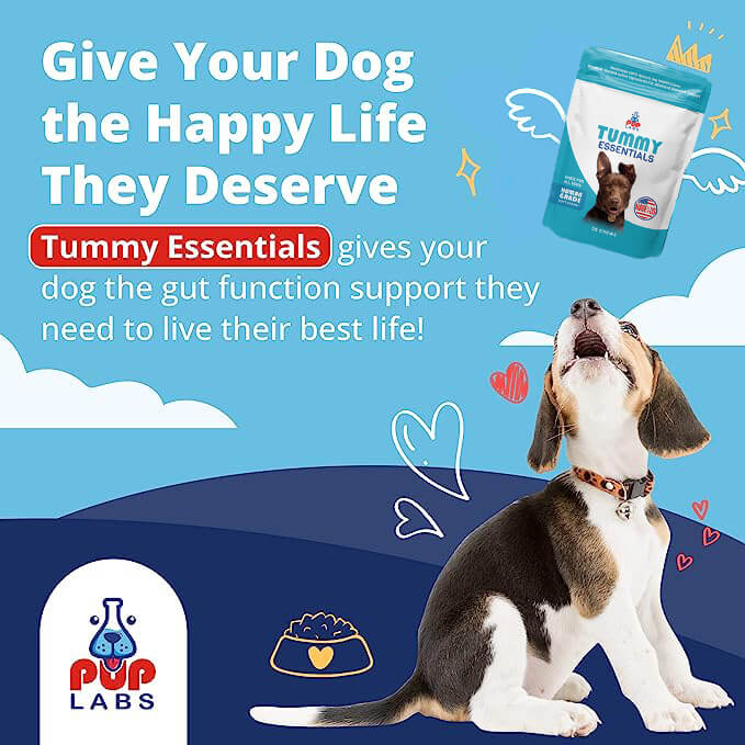 Tummy Essentials