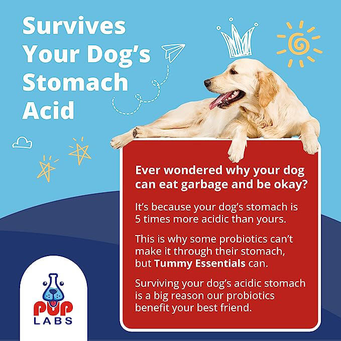 Tummy Essentials
