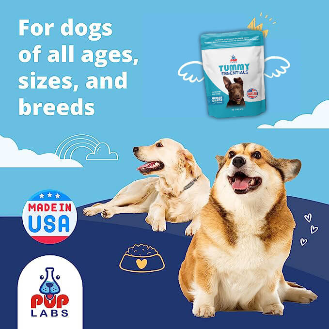 Tummy Essentials Digestive Chews