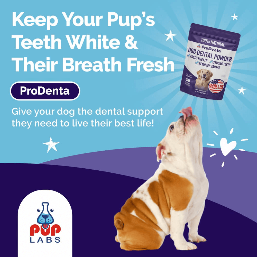 ProDenta (Dental Health For Dogs)