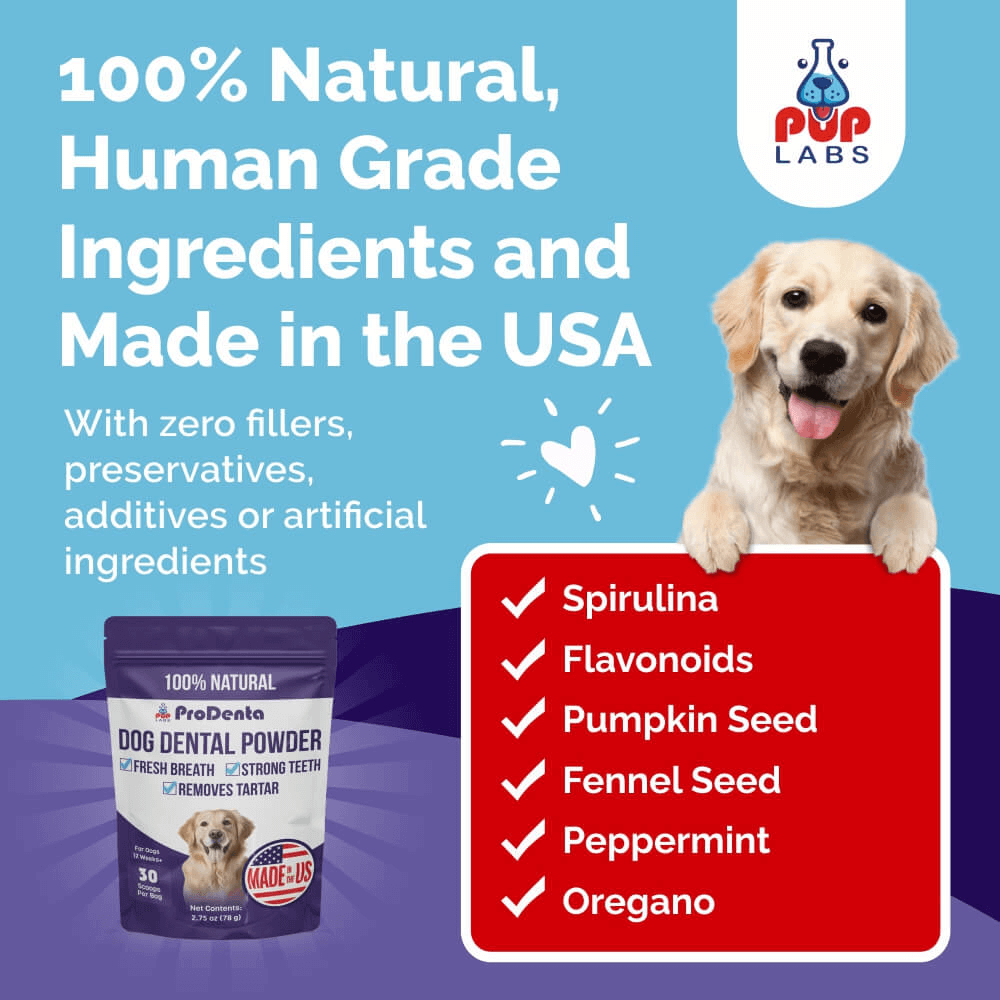 ProDenta (Dental Health For Dogs)