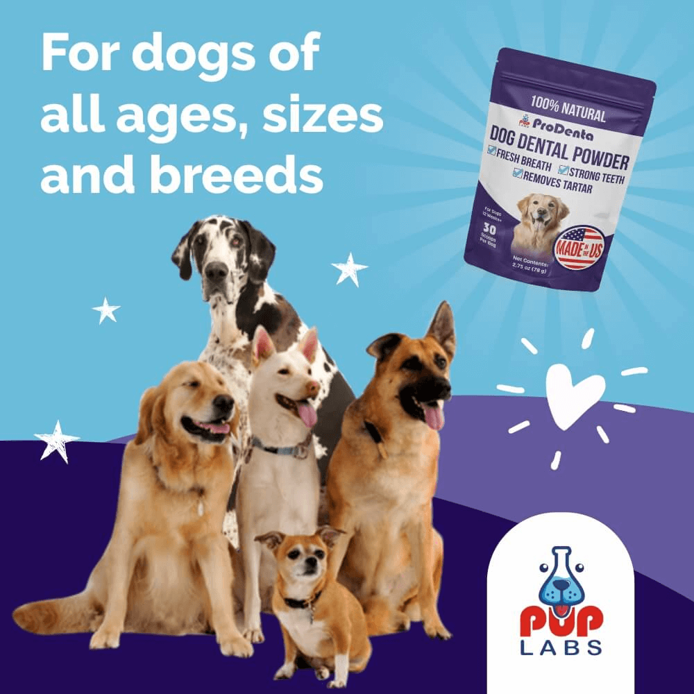 ProDenta by PupLabs™ - Advanced Dental Health Formula for Dogs
