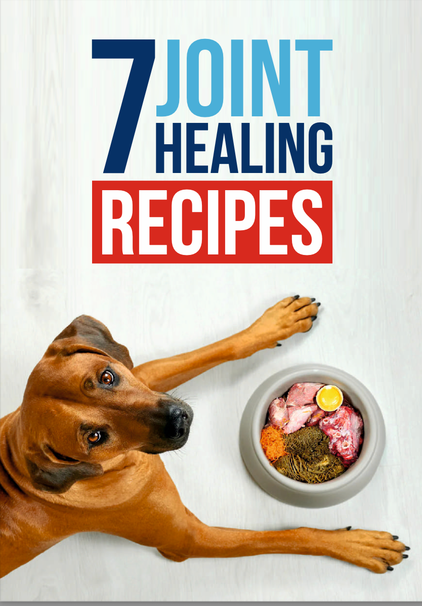 Vet-Approved Joint Healing Recipes
