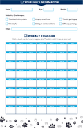 60-Day Joint Mobility Tracker