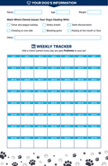 60-Day Oral Health Tracker