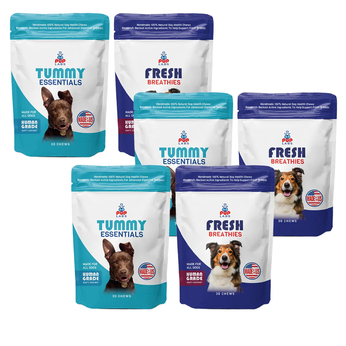 Gut Health Bundle