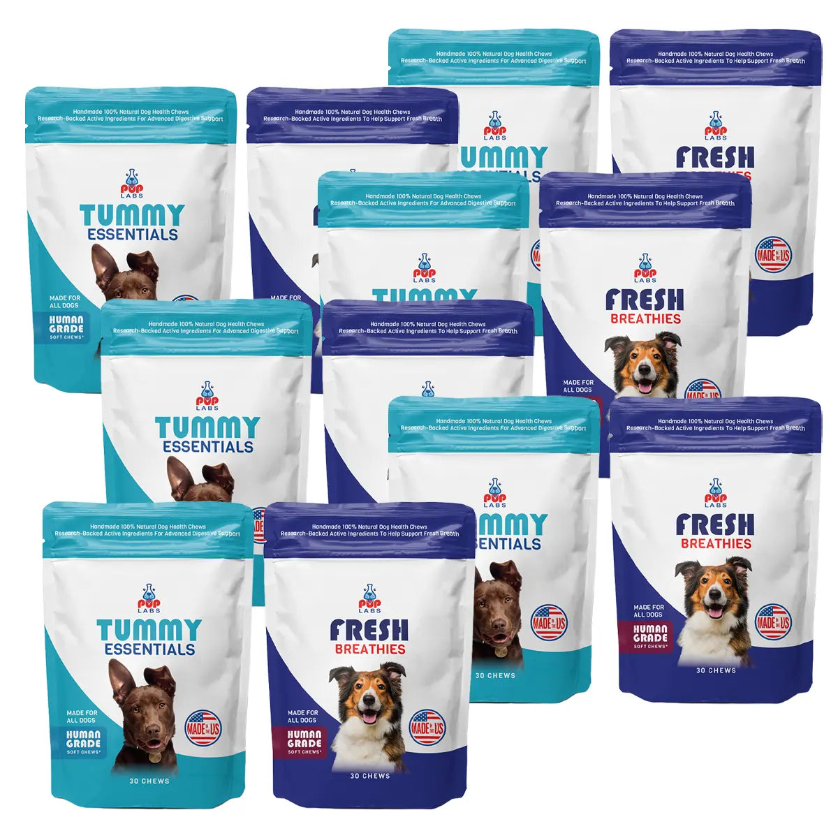 Gut Health Bundle