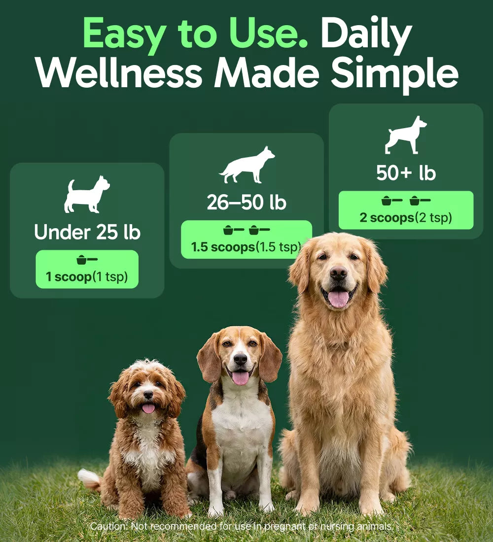 K9 Immune™