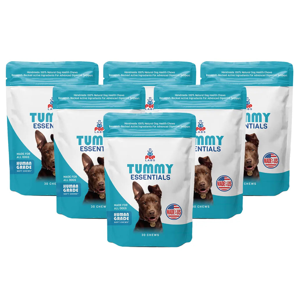 Tummy Essentials Digestive Chews
